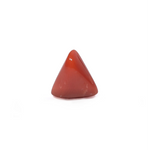 Red Coral - 3.82 Carat