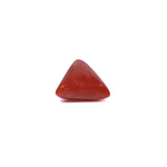 Red Coral - 3.8 Carat
