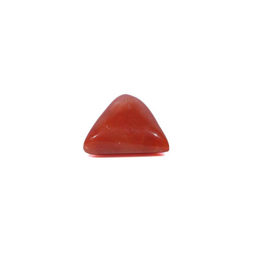 Red Coral - 3.6 Carat