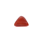 Red Coral - 3.6 Carat