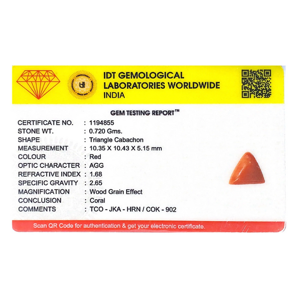 Red Coral - 3.6 Carat