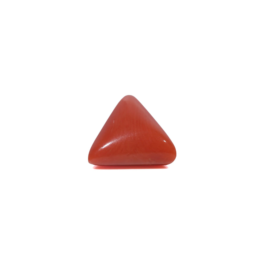 Red Coral - 3.45 Carat
