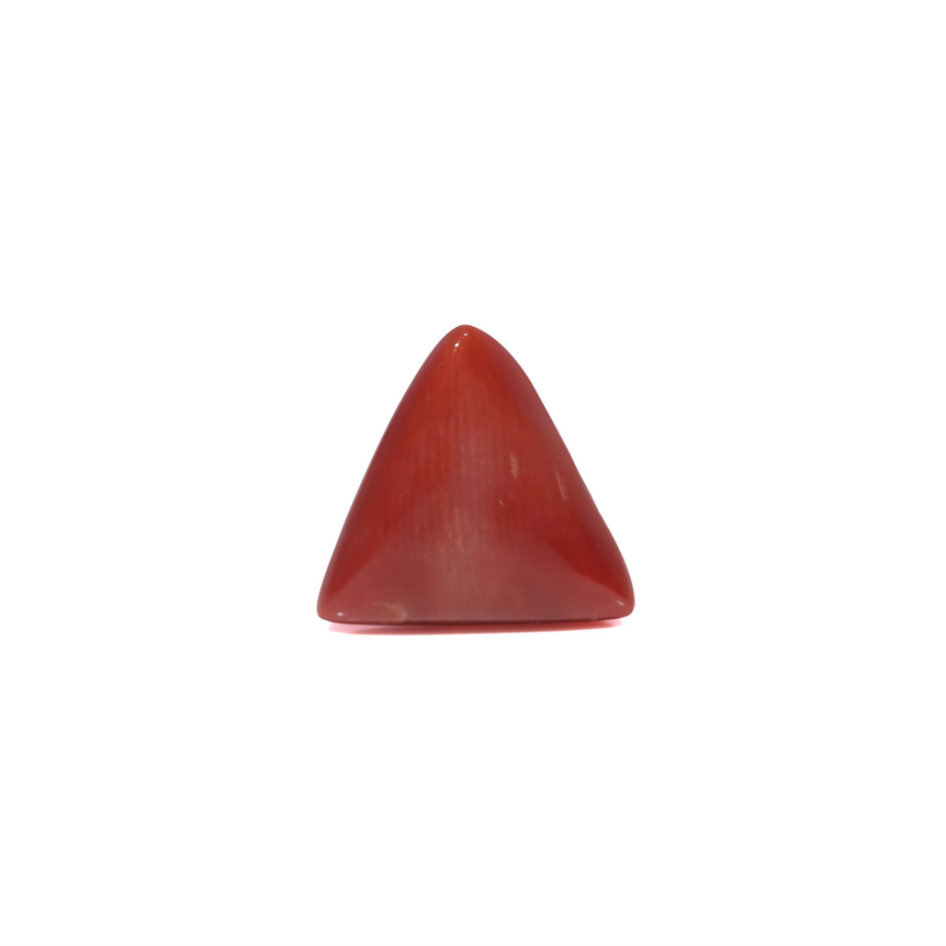Red Coral - 3.65 Carat