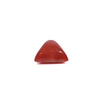 Red Coral - 3.65 Carat