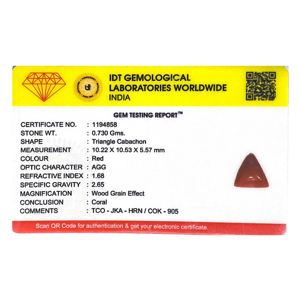 Red Coral - 3.65 Carat