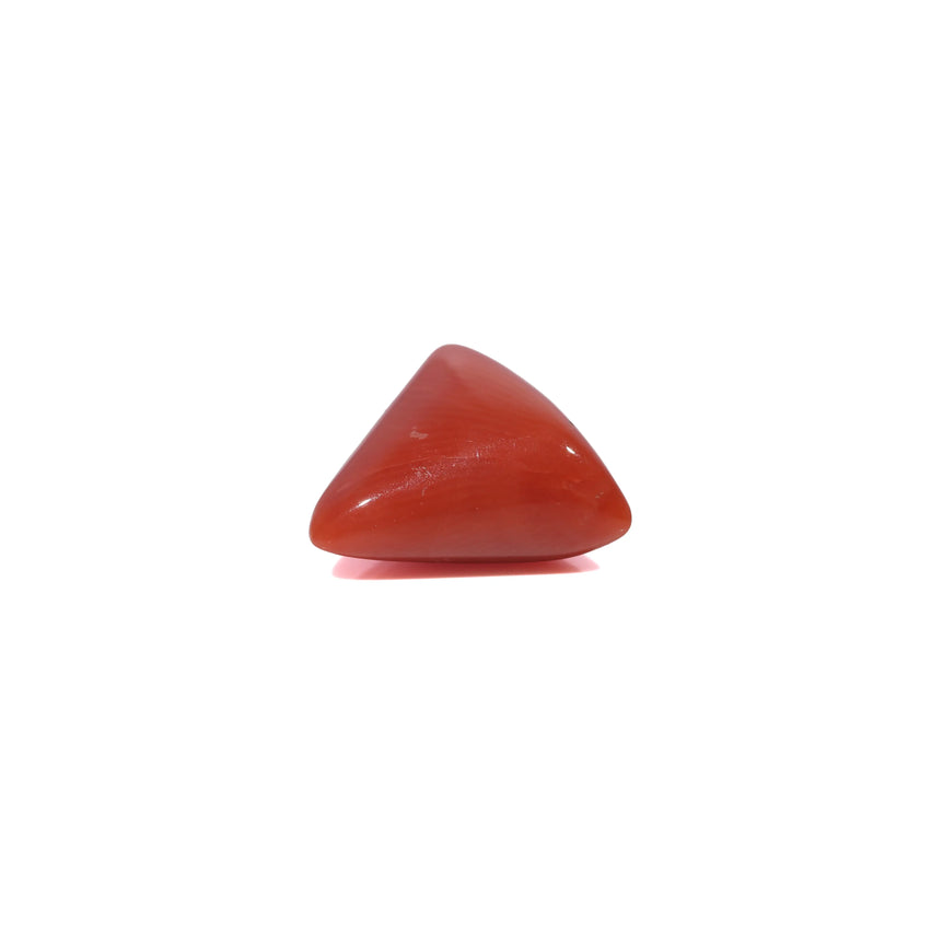 Red Coral - 3.35 Carat
