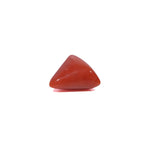 Red Coral - 3.35 Carat