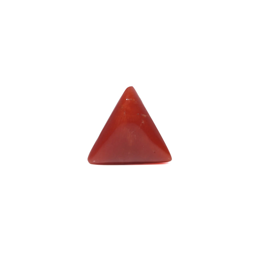 Red Coral - 3.17 Carat
