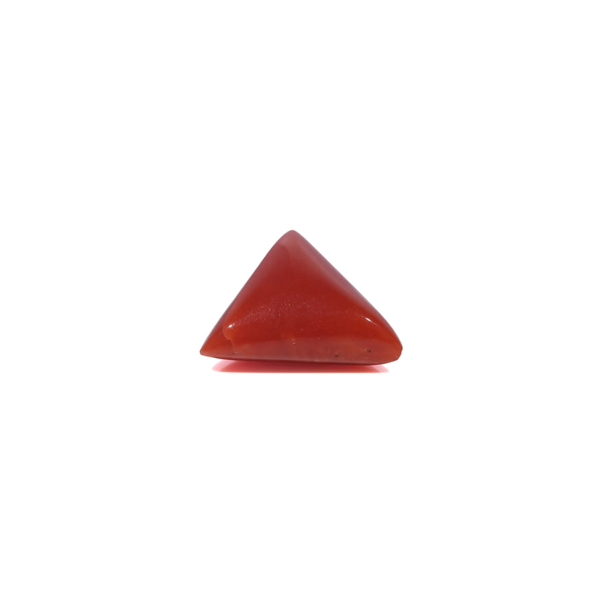 Red Coral - 3.17 Carat
