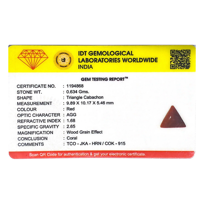 Red Coral - 3.17 Carat