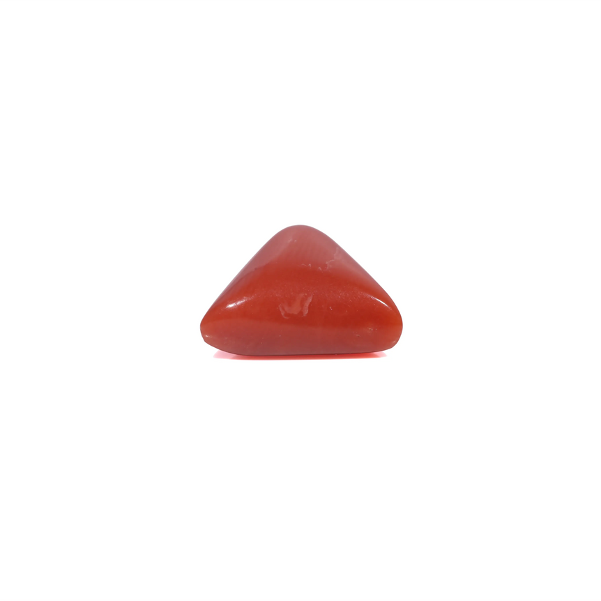 Red Coral - 3.6 Carat