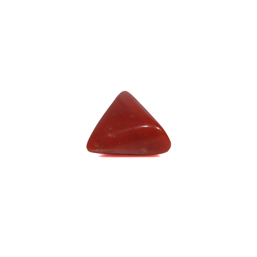 Red Coral - 4.09 Carat