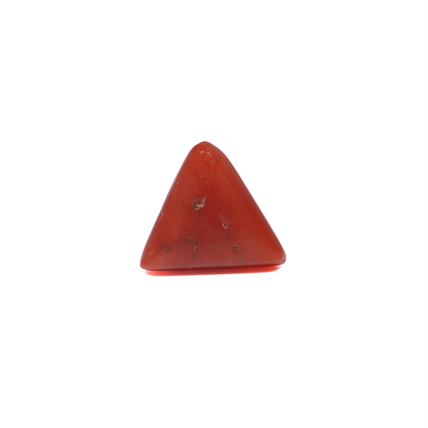 Red Coral - 3.68 Carat