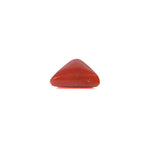 Red Coral - 3.68 Carat