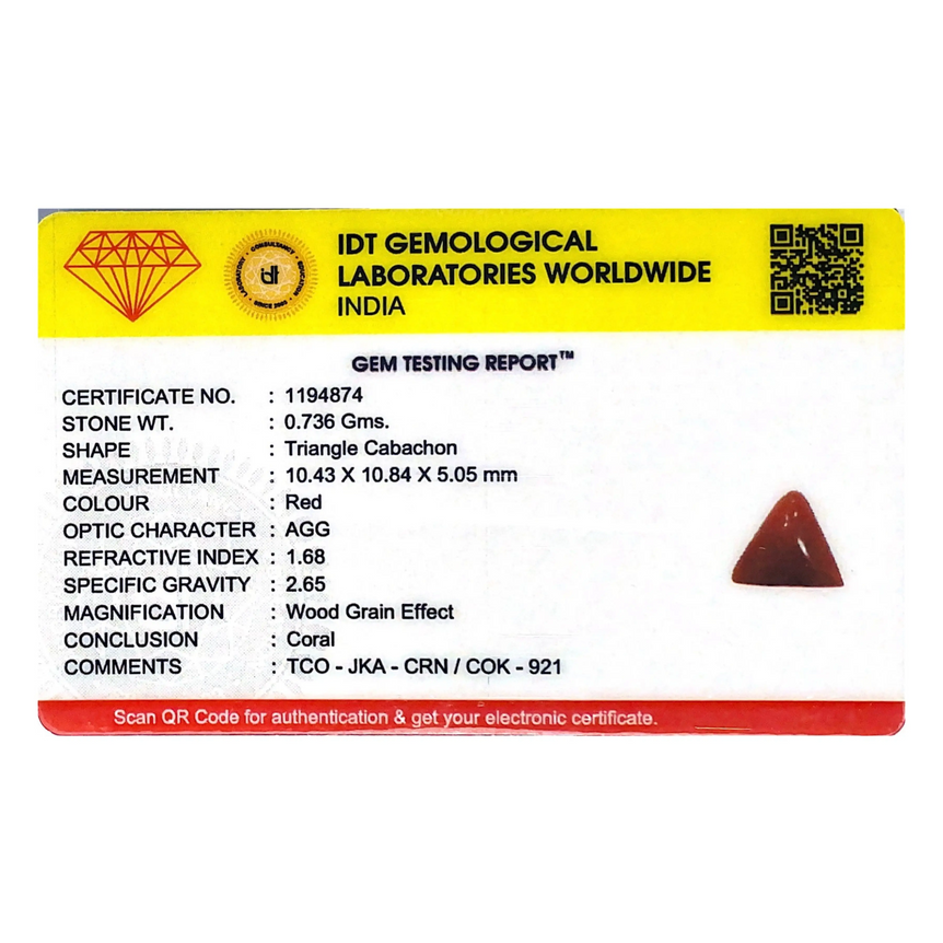 Red Coral - 3.68 Carat