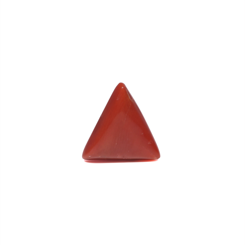 Red Coral - 3.91 Carat