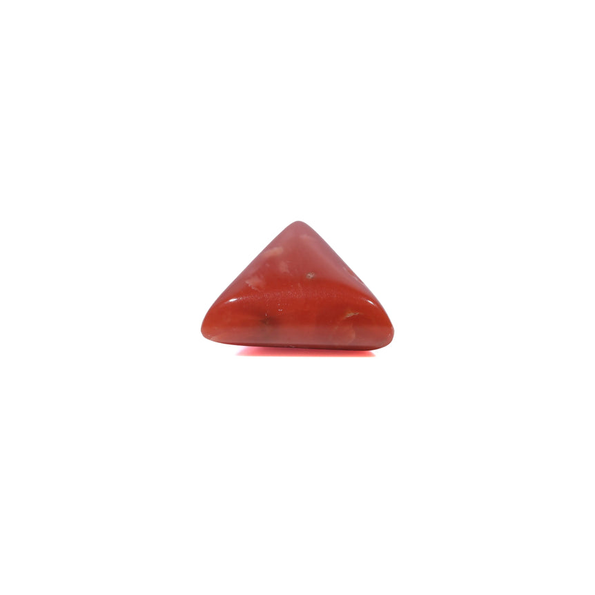 Red Coral - 3.91 Carat