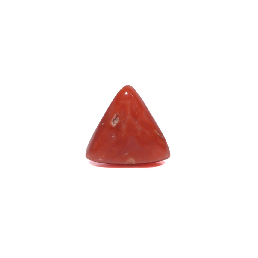 Red Coral - 3.82 Carat