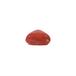 Red Coral - 3.82 Carat