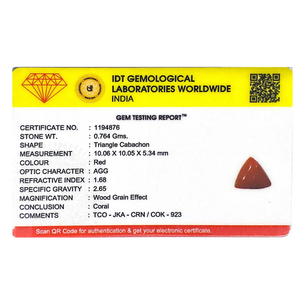 Red Coral - 3.82 Carat