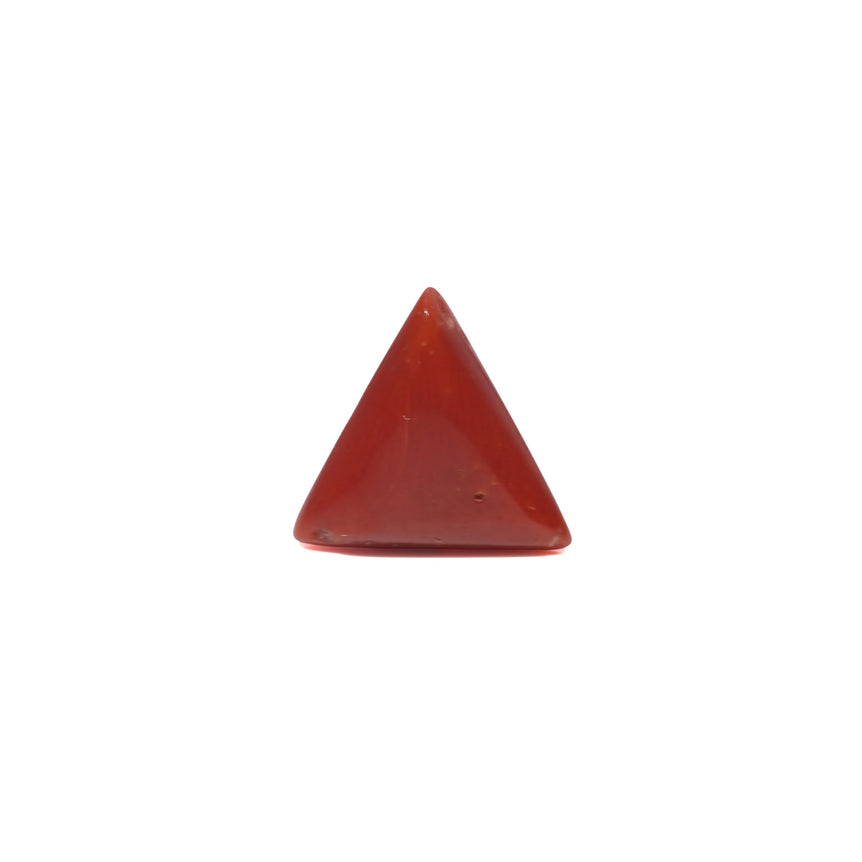 Red Coral - 3.5 Carat