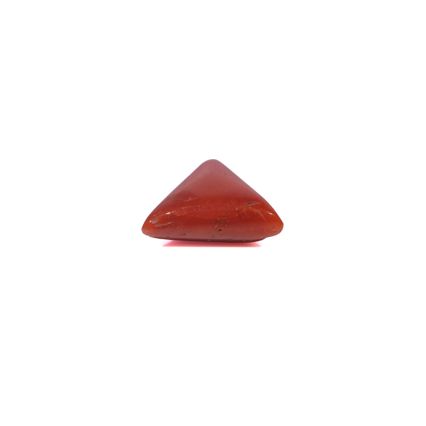 Red Coral - 3.5 Carat