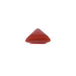Red Coral - 3.5 Carat