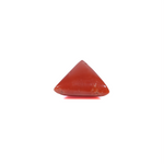 Red Coral - 3.7 Carat