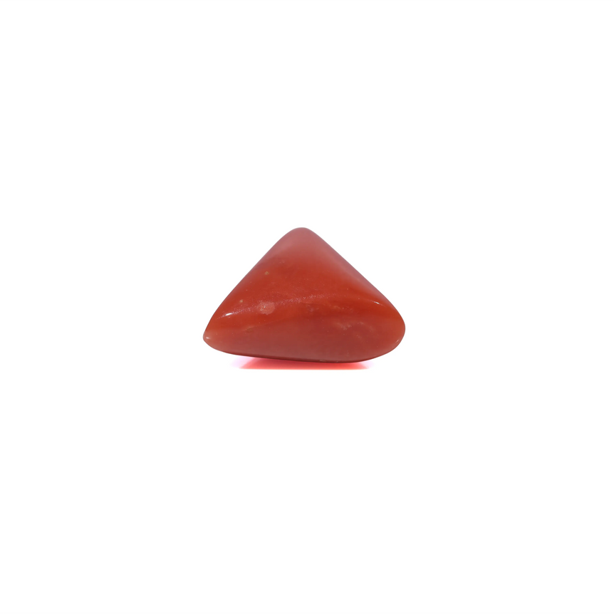 Red Coral - 3.6 Carat