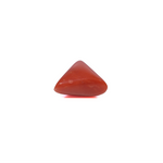 Red Coral - 3.6 Carat