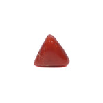 Red Coral - 3.87 Carat - Pramogh