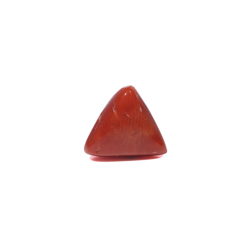 Red Coral - 3.87 Carat