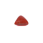 Red Coral - 3.87 Carat