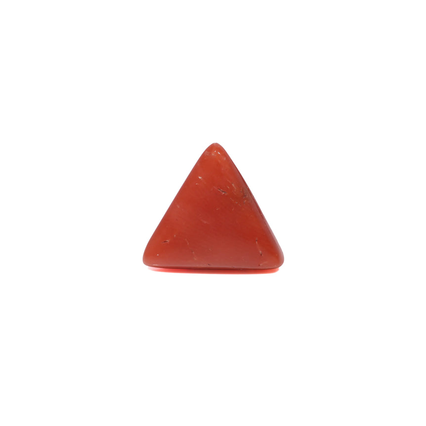 Red Coral - 3.8 Carat