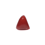 Red Coral - 3.95 Carat - Pramogh