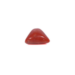 Red Coral - 3.6 Carat