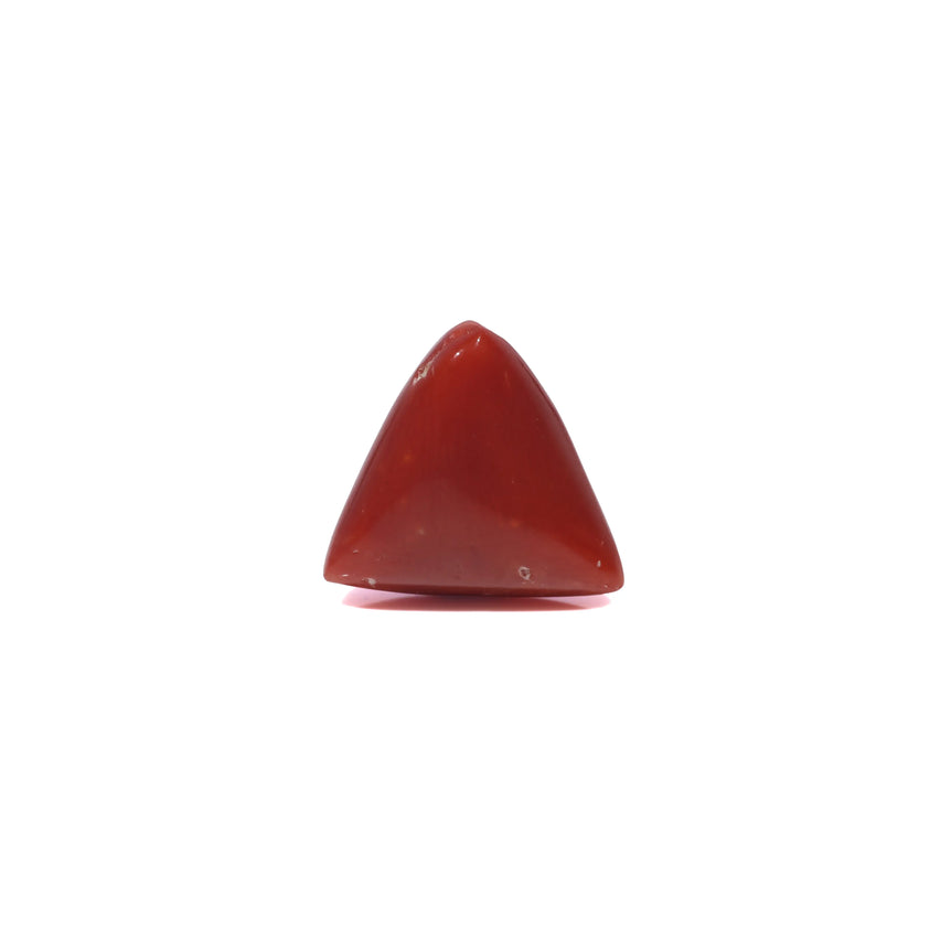 Red Coral - 3.45 Carat