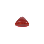 Red Coral - 3.45 Carat