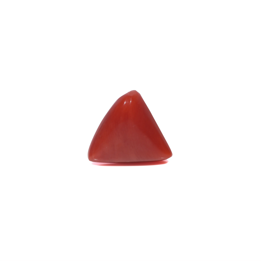 Red Coral - 3.6 Carat
