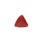 Red Coral - 3.6 Carat
