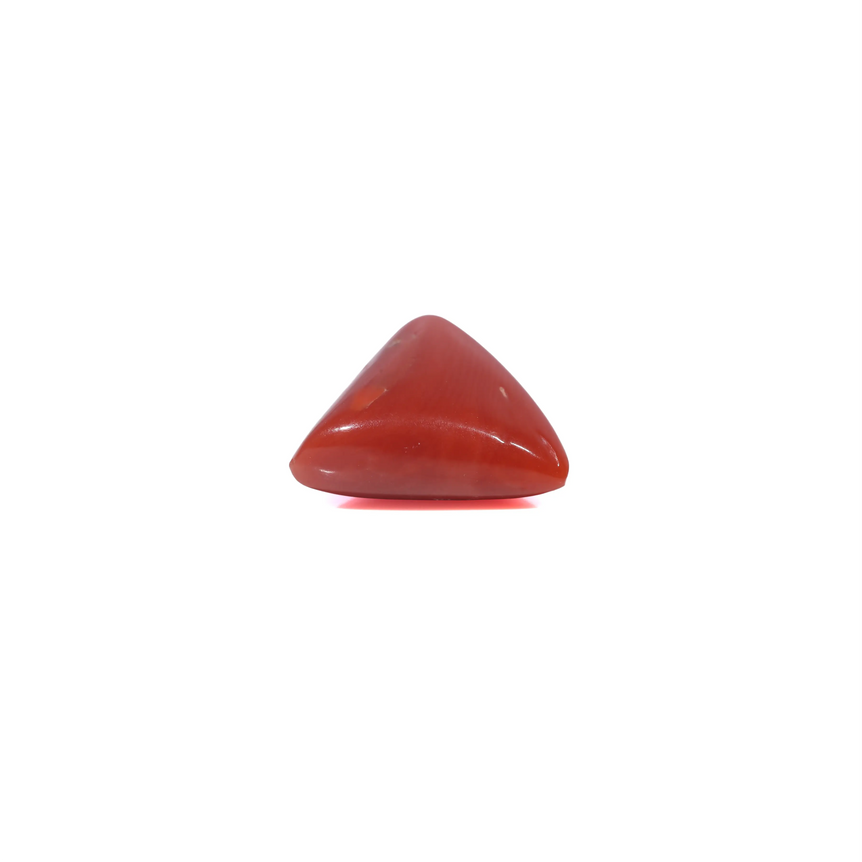 Red Coral - 3.6 Carat