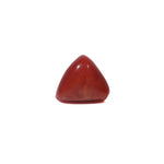 Red Coral - 3.52 Carat - Pramogh