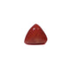 Red Coral - 3.52 Carat - Pramogh