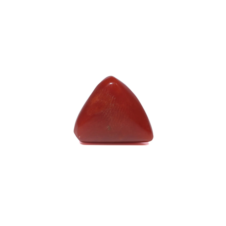 Red Coral - 3.52 Carat