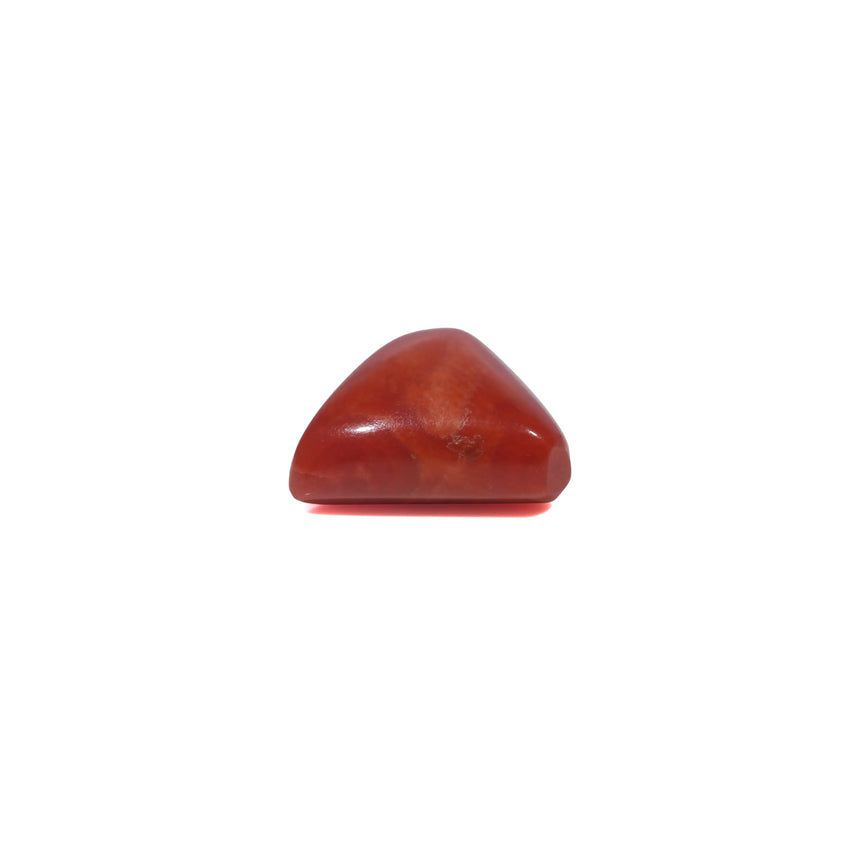 Red Coral - 3.52 Carat