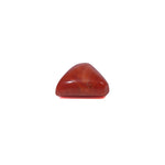 Red Coral - 3.52 Carat