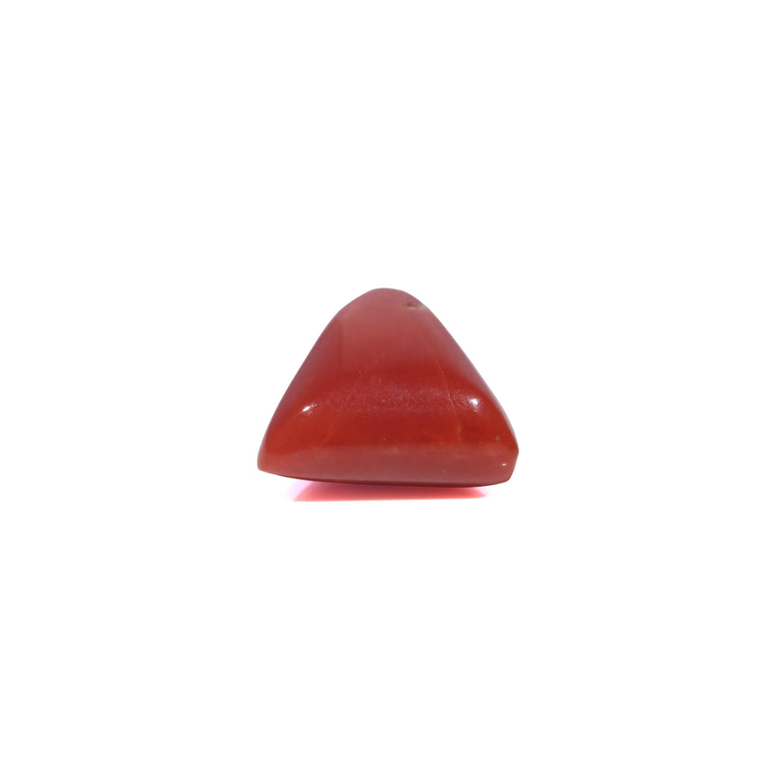 Red Coral - 3.95 Carat