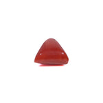 Red Coral - 3.95 Carat