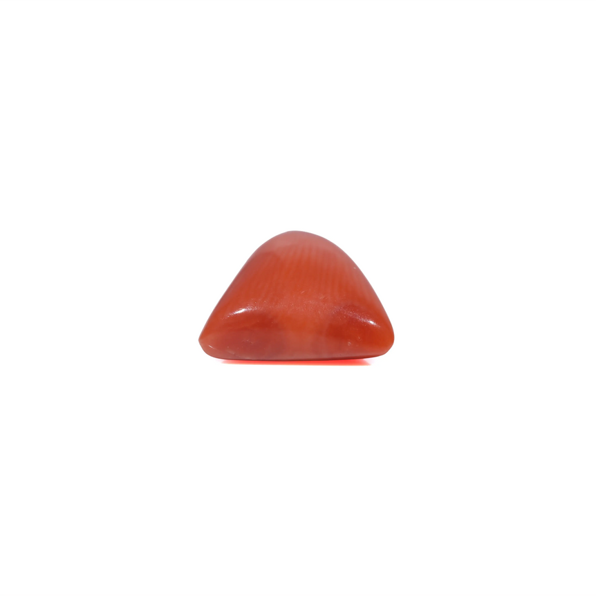 Red Coral - 3.62 Carat
