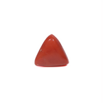 Red Coral - 3.9 Carat - Pramogh